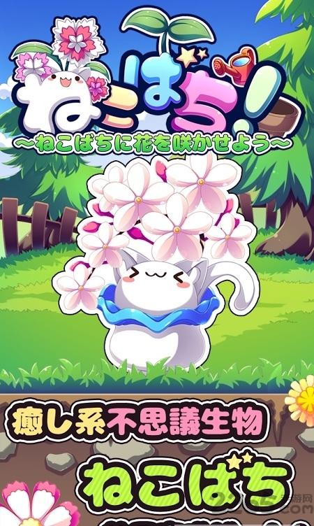 盆栽猫咪内购破解版下载,盆栽猫咪,休闲游戏,养成游戏